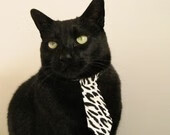 双星耀夜，德甲争冠战与恩比德纪录之夜的奇妙共鸣