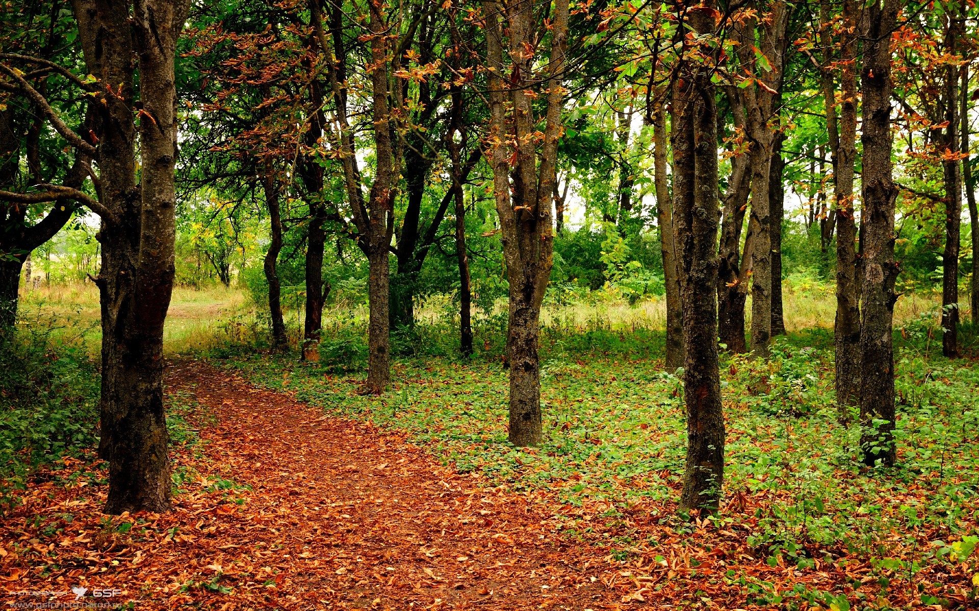 布宜诺斯艾利斯与开罗的交汇，当F1争冠战在虚拟赛道上演阿根廷与埃及的终极鏖战
