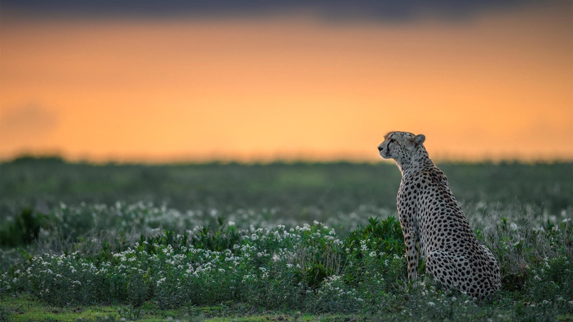 开云体育2026-终场哨响前的统治力，李刚仁末节爆发助罗马斩落瑞典