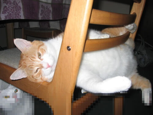 北非沙漠奏响终章狂想曲,姆巴佩的星辰照亮阿尔及利亚提前晋级的夜