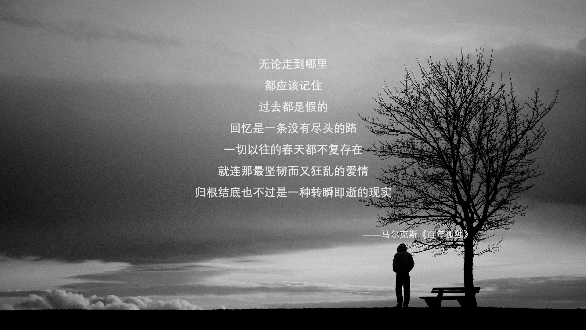 开云sport-当金翅鸟飞越铁幕，一场被虚构的和平，与莱奥刺破天际的弧线