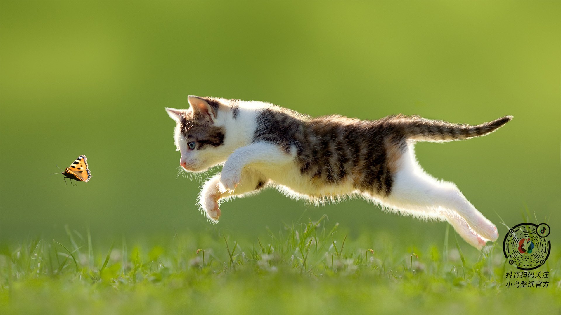 胜利与救赎,世界排名之夜的内马尔独舞