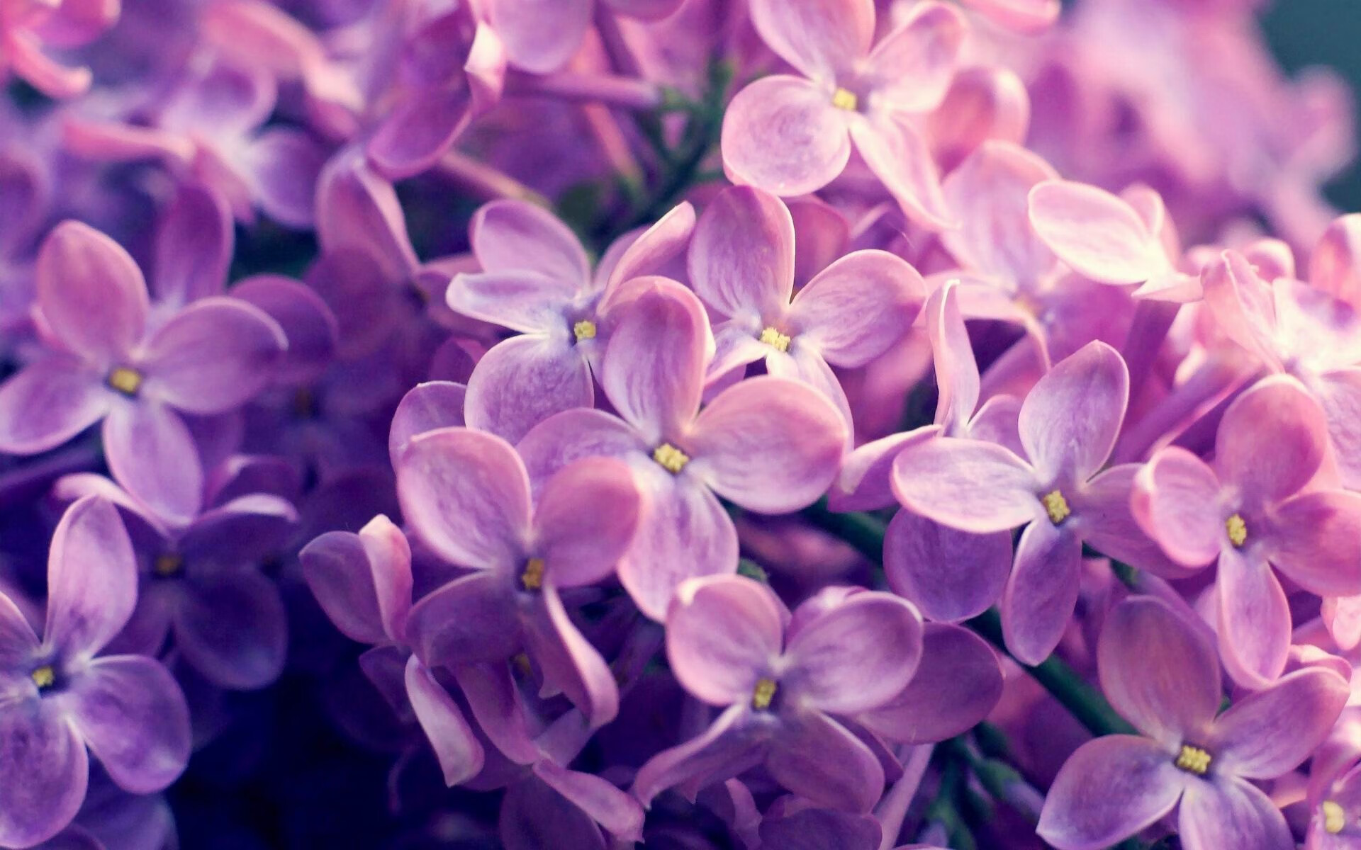 暗夜追光，布雷默在年度焦点之夜的救赎与重生