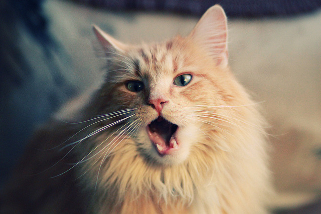 死神降临，西甲国家德比之夜，霍勒迪的45秒闪击让悬念提前终结