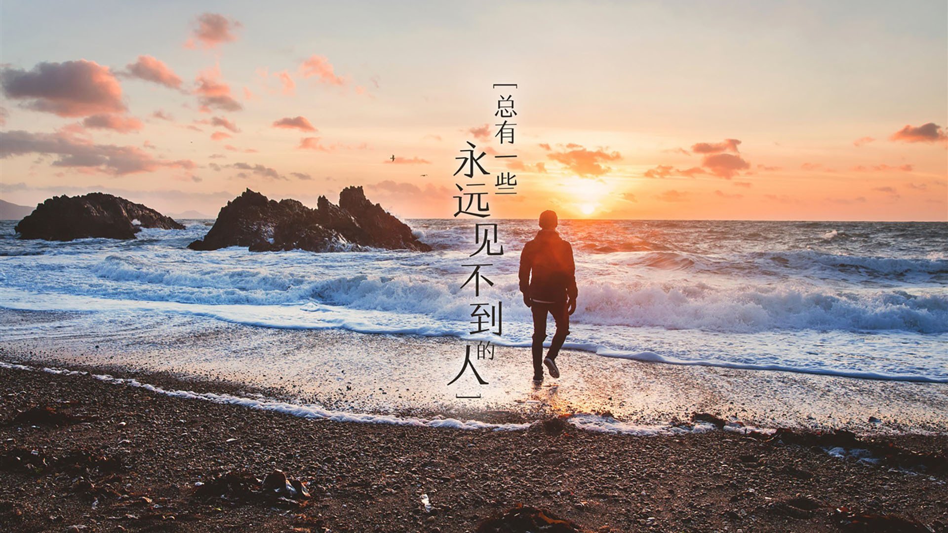 东风压倒西风,当蓝武士的樱花风暴摧毁玫瑰骑兵,齐耶赫在冷雨中点亮摩洛哥的北极星