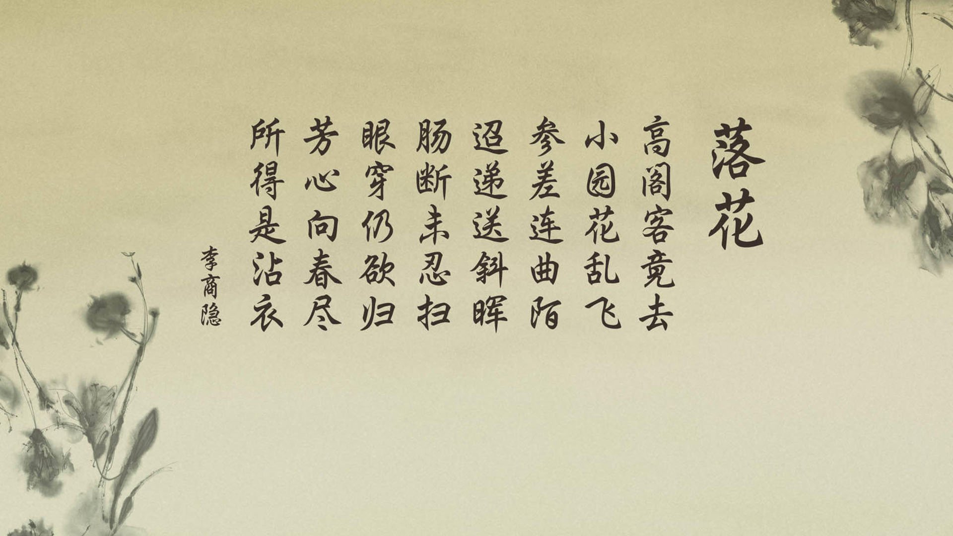 开云体育在线-唯一的裂痕，当哈兰德选择成为突尼斯人，2026世界杯C组的世纪悖论