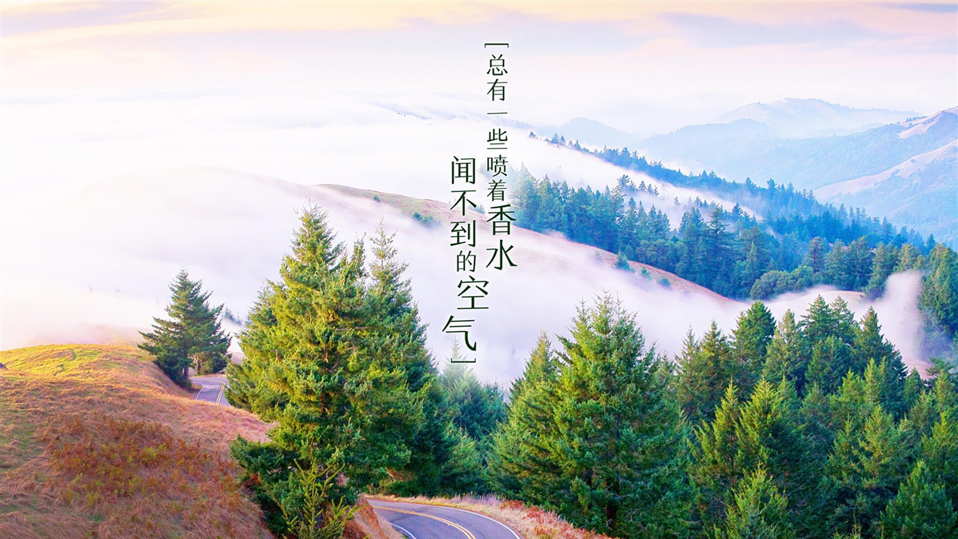 沙漠风暴席卷北欧童话,维尼修斯王者降临,阿联酋血洗丹麦铸就世界杯八分之一神迹